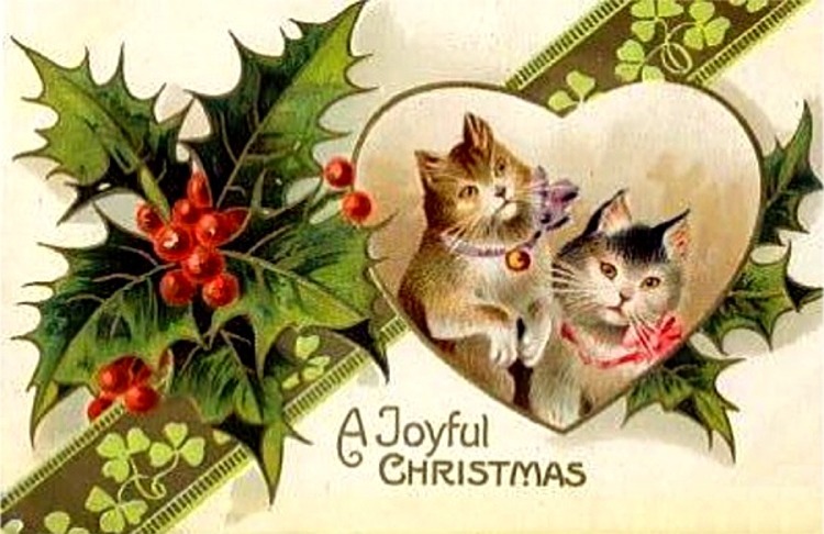 https://lifeinthelongtail.files.wordpress.com/2015/11/amazing-christmas-cards-with-cats-3.jpg